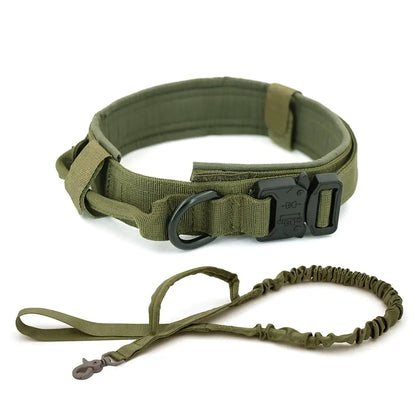 Dog Collar - Strong & Durable
