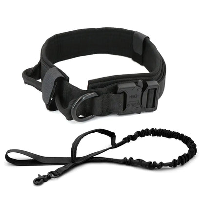 Dog Collar - Strong & Durable