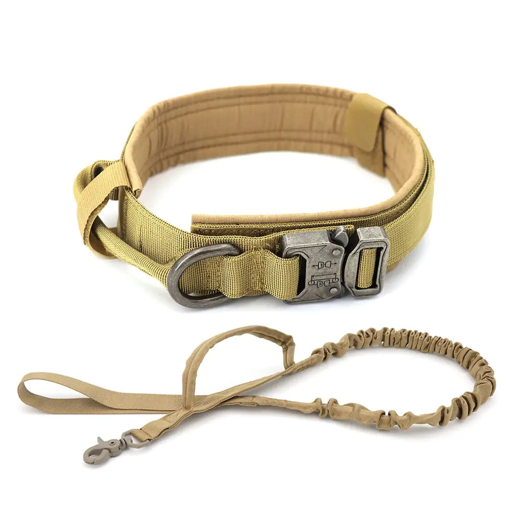 Dog Collar - Strong & Durable