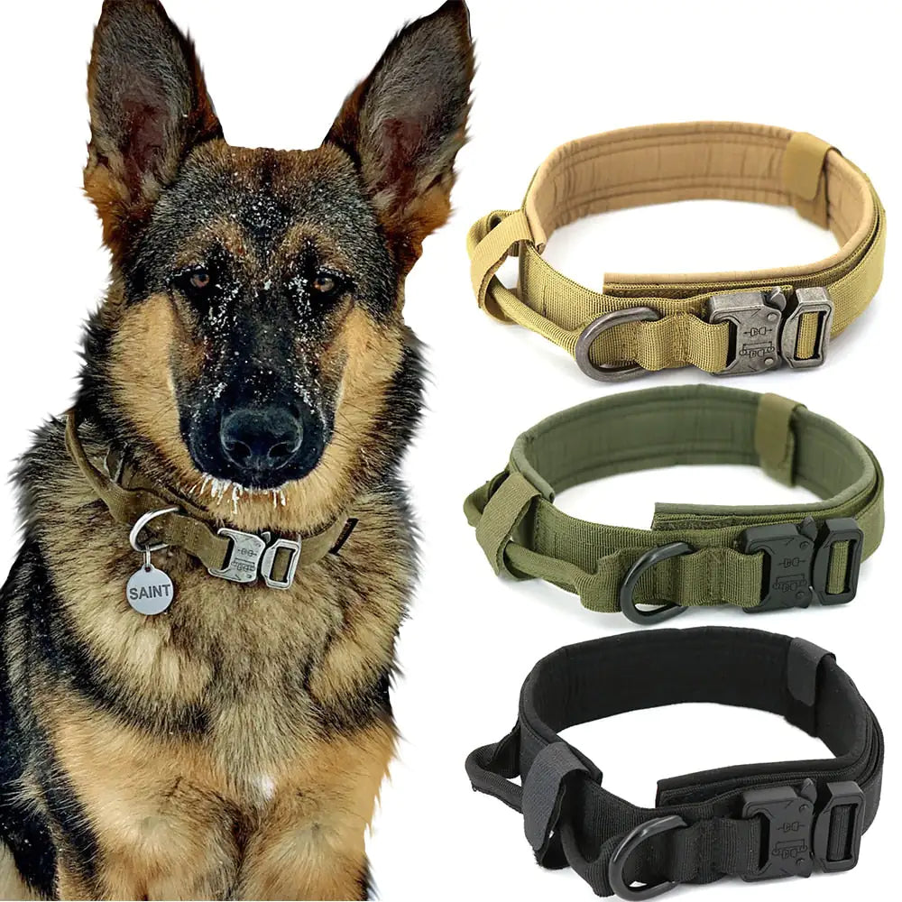 Dog Collar - Strong & Durable