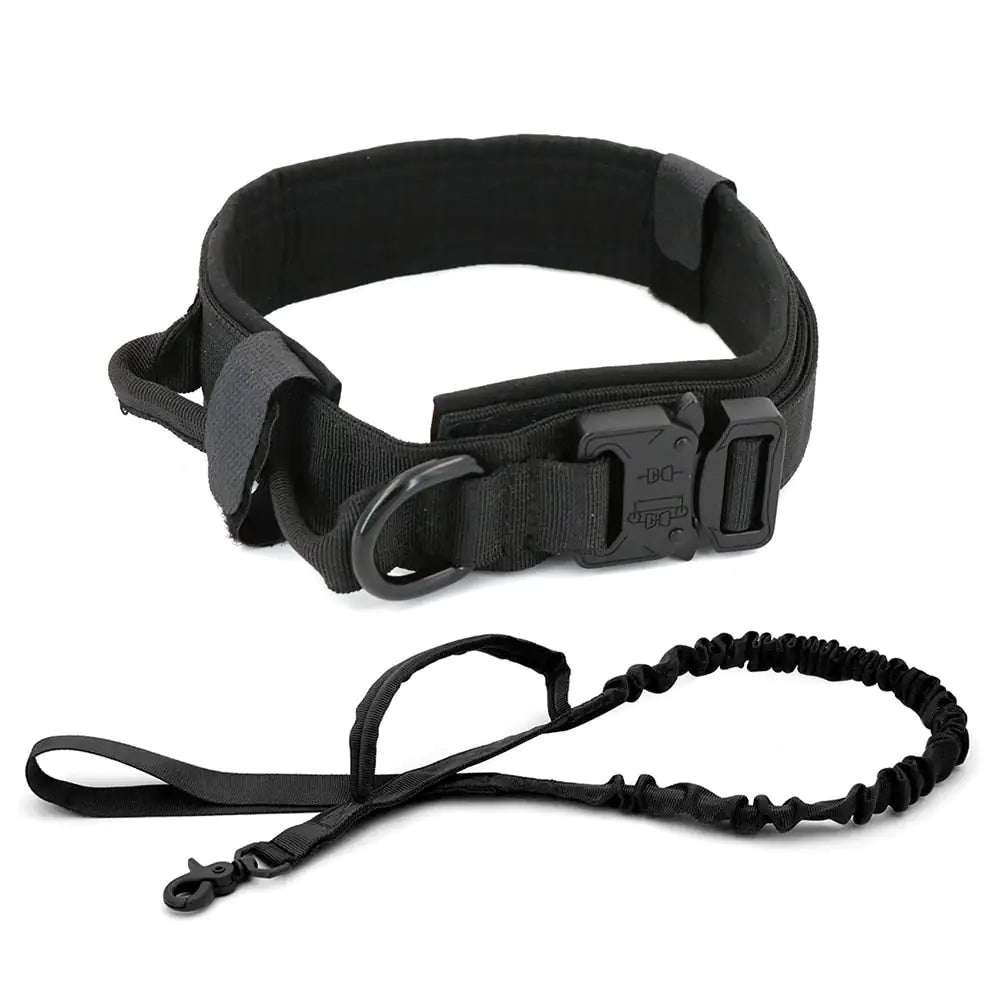 Dog Collar - Strong & Durable